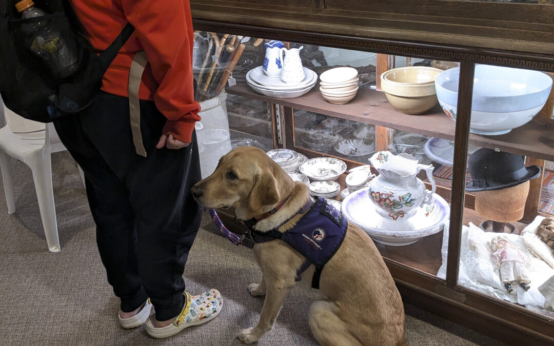 BERGIN COLLEGE OF CANINE STUDIES COMES TO THE PIONEER INDIAN MUSEUM